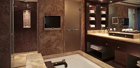 Hotel Hyatt Regency Kiev 5*,